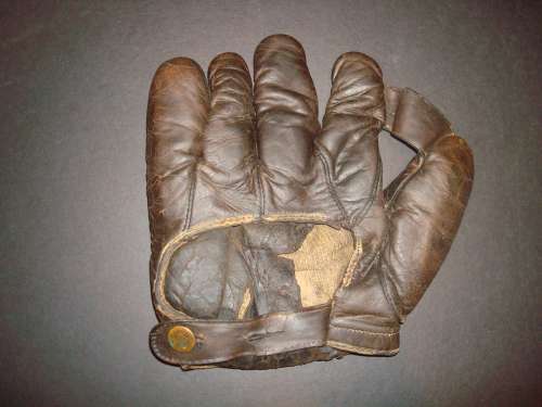 Des Moines 1 Inch Web Back